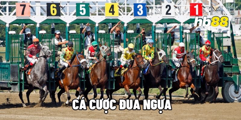 ca cuoc dua ngua 1