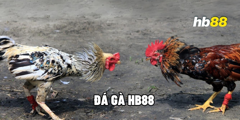 da ga hb88 1