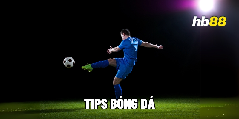 tips bong da 1